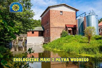 Фотографии Фермерские дома Mlyn Wodny EKO г. Rybno (Польша) №1 Фото Фермерские дома Mlyn Wodny EKO г. Rybno 1