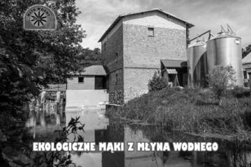 Фотографии Фермерские дома Mlyn Wodny EKO г. Rybno (Польша) №2 Фото Фермерские дома Mlyn Wodny EKO г. Rybno 2